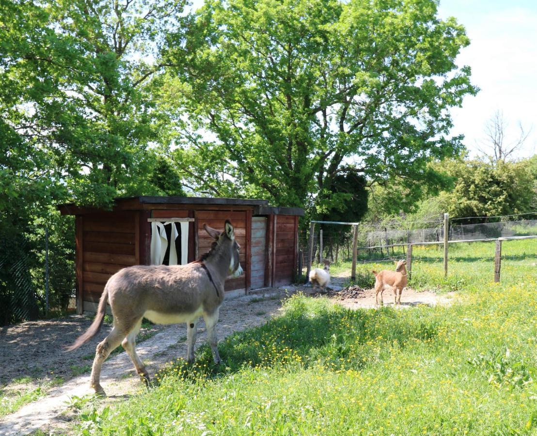 La Collina Dei Ciliegi Apartment Cagli Luaran gambar